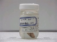 藏品(背帶(魚翁))的圖片